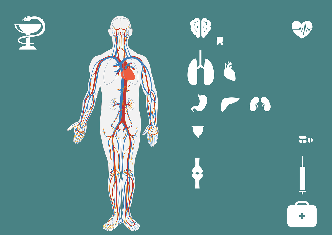 車禍?zhǔn)鹿?，原因、?yīng)對與反思總結(jié)