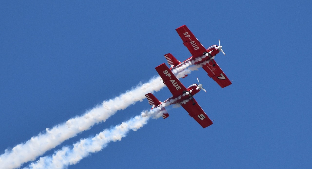 航空領域特殊現象揭秘，飛機撞機事件與應對策略探討
